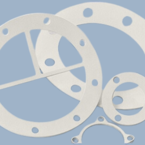 Expanded PTFE Gasket