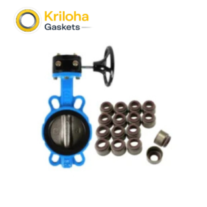 Sewage treatment valve seals