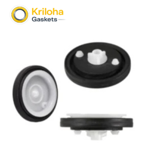 Solenoid valve gasket