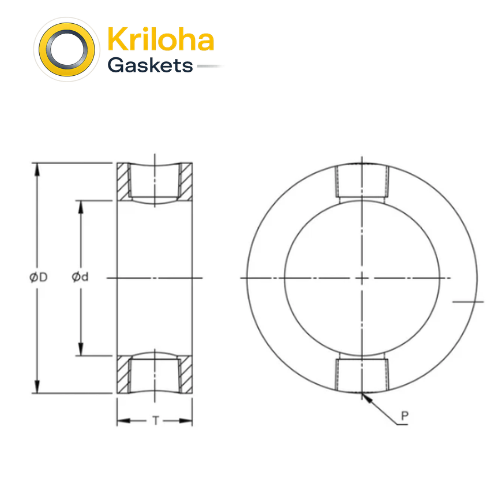 Flushing Ring (2)