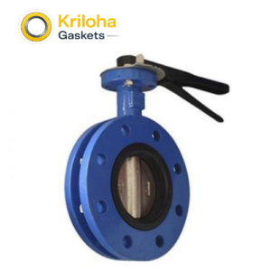 Cast Iron Flange Butterfly Valve