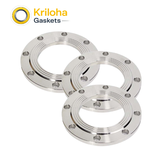 Forged Flange Stainless Steel 316 En1092-1 Din Ss Flange