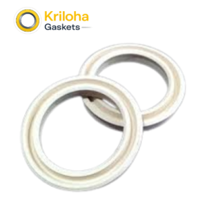 PEEK sealing gasket