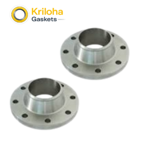 Stainless Steel Wn Weld Neck Flange Forged Flange