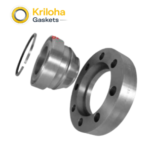 Swviel Flange