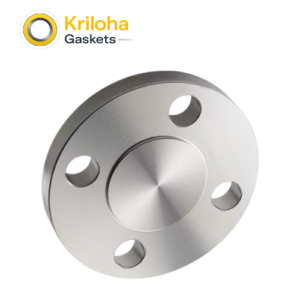 10 Inch Stainless Steel 304/316 Ansi B16.5 Blind Flange