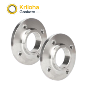 Aisi 304 Stainless Steel Flange Sanitary