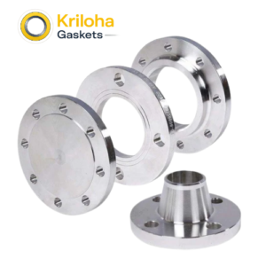 Ansi/Din/Gost Stainless Steel Weld Neck Flange