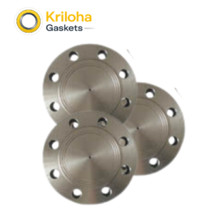Ductile Iron Blind Flange A694 F60 Forging Dn 50 Bl Flange Stainless Steel Blind Flange