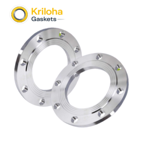 Flat Plate Flange Ss Plate Flange Plate Flange Standard Plate Flange