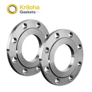 Carbon Steel Plate Flange Dn50 A105 High Quality