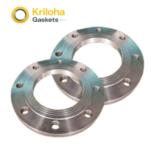 Pn16 316L Ansi B16.5 Plate Flange