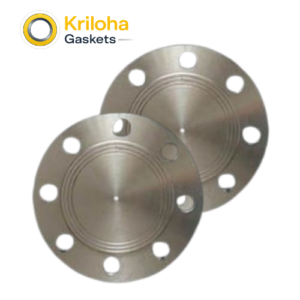 Stainless Steel Blind Flange 4 Inch