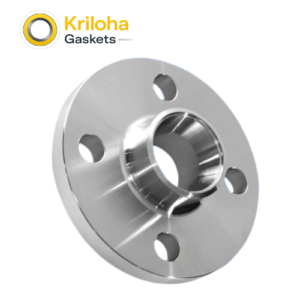 Stainless Steel F304 Asme Forged Wn Pipe Flange