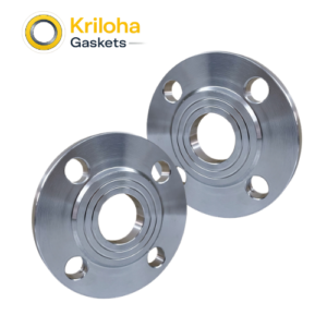Stainless Steel Flange Plate 304 316L Pipe Fittings